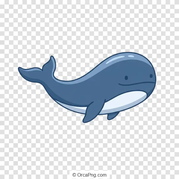 Adorable Blue Whale