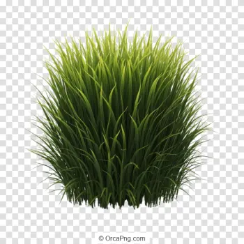 Lush Green Grass Mound