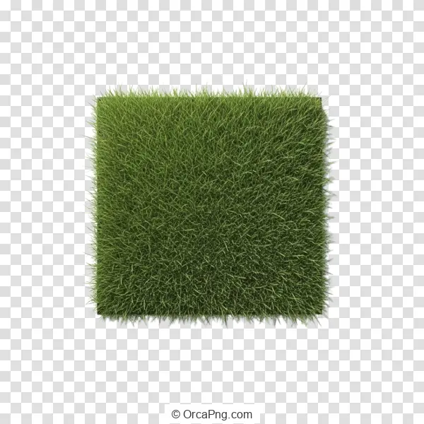 Isolated Green Turf Square