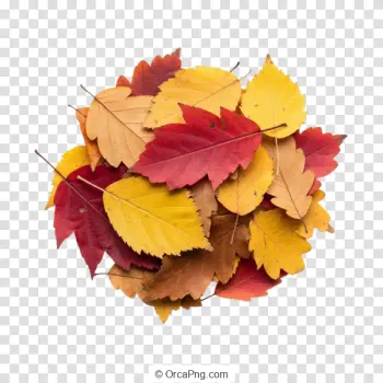 Vibrant Autumn Foliage Pile
