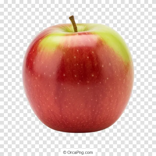 Vibrant Red and Green Apple