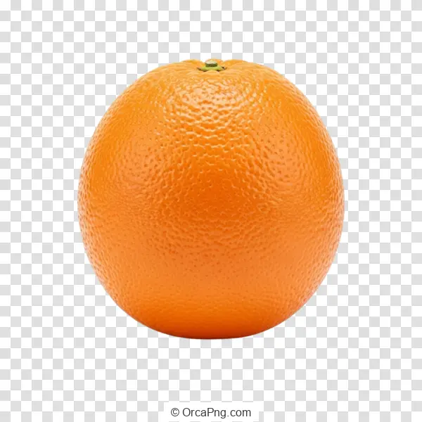 Vibrant Whole Orange