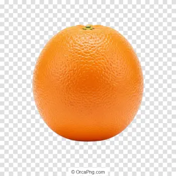 Vibrant Whole Orange