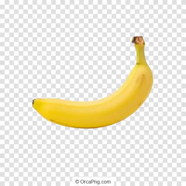 Golden Curve Banana