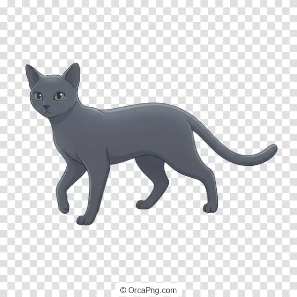Sleek Grey Feline Stroll