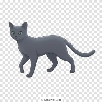 Sleek Grey Feline Stroll